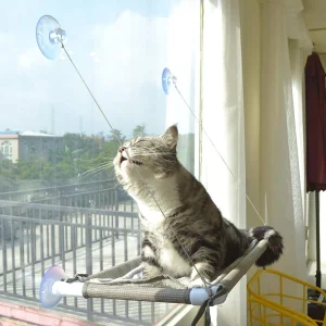 Kattfönster Hängmatta
